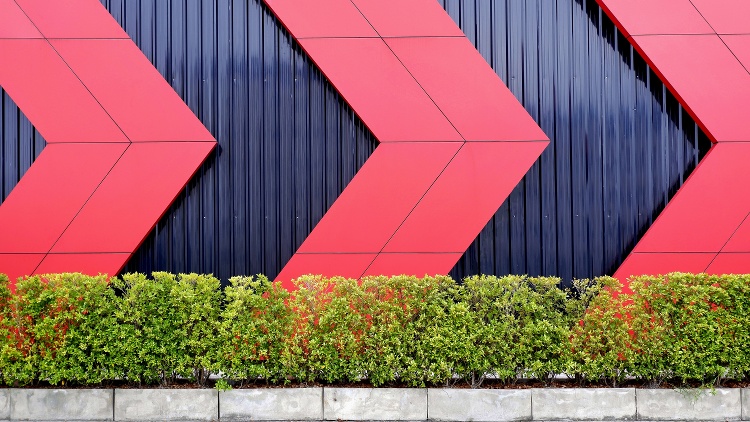 AdobeStock_274222538-1-1